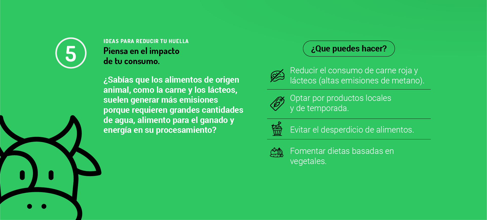 Idea 5