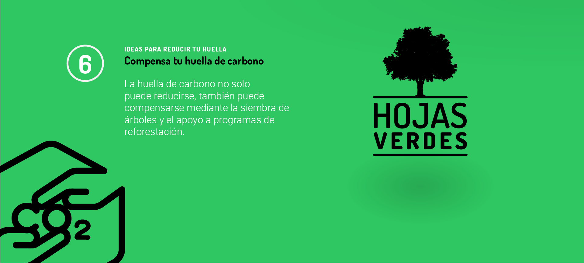 Idea 5